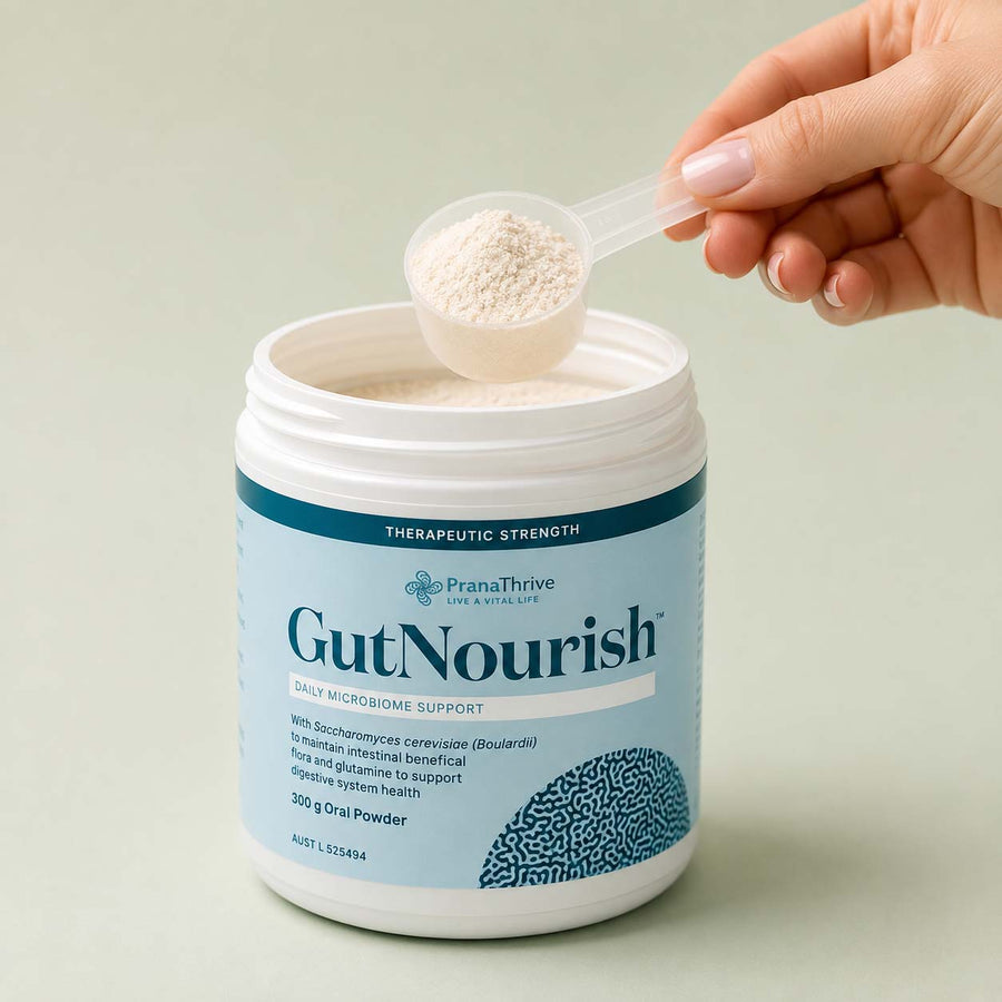 A scoop of GutNourish powder lifted from the tub