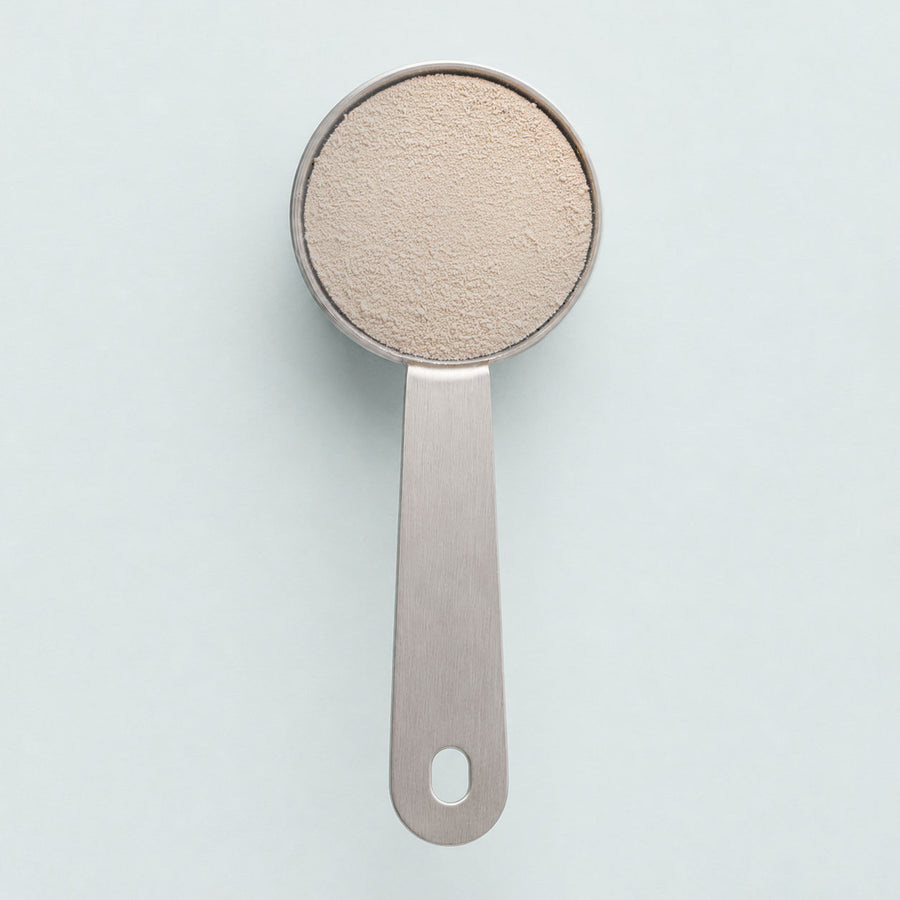 A level scoop of GutNourish vanilla powder